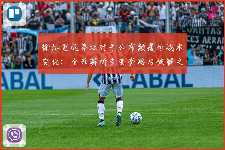 徐灿重返拳坛对手公布颠覆性战术变化：全面解析多变套路与破解之道