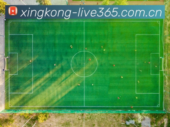 奖项图2